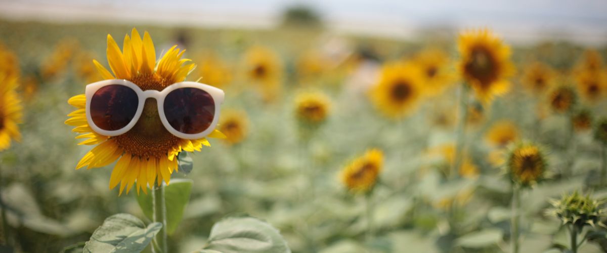 5 steps to beat summer allergies